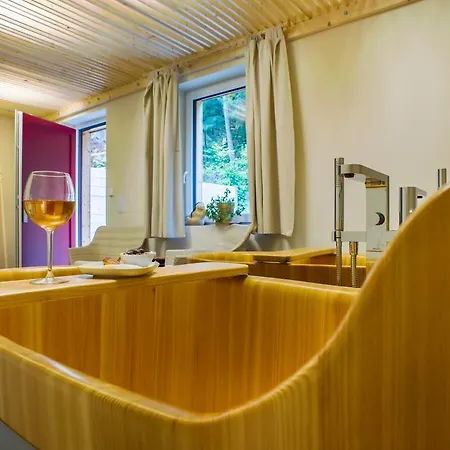 Apartment Ap19 Plesivec Karlovy Vary