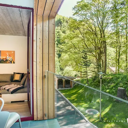 Ap19 Plesivec Karlovy Vary
